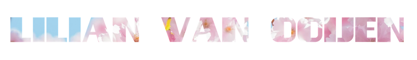 Lilian van Ooijen - 