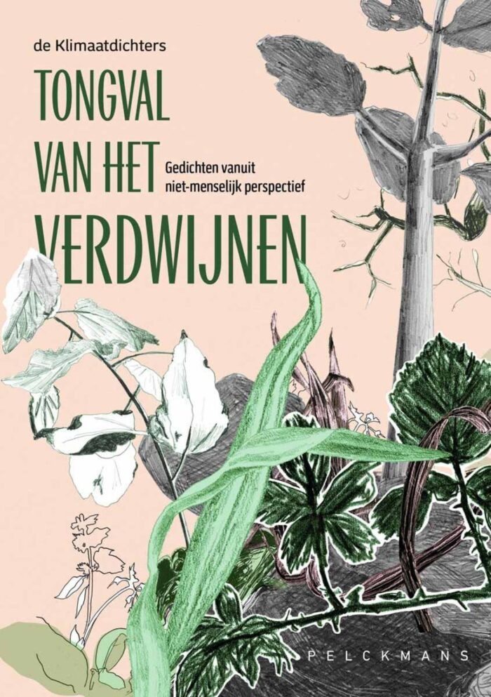 dichtbundel tongval van het verdwijnen