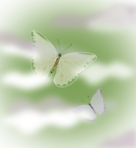 vlinder illustratie Lilian van Ooijen